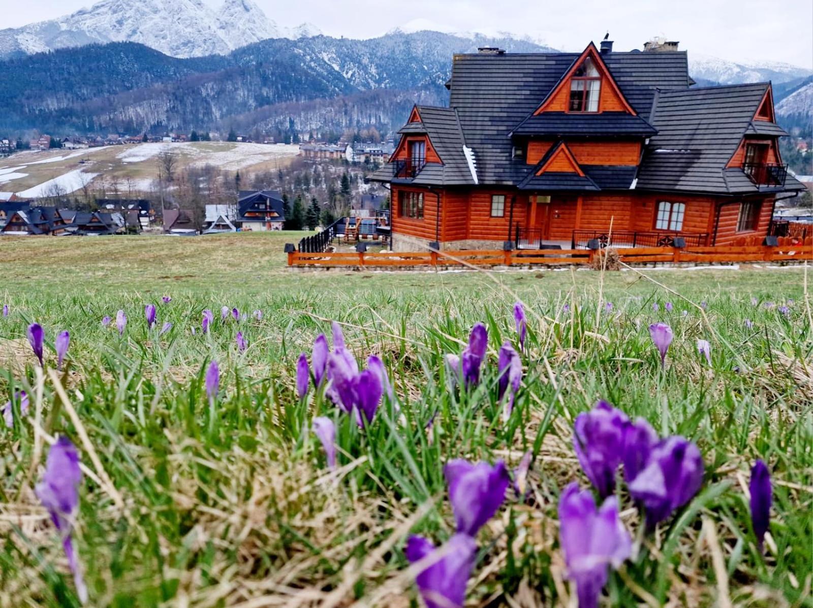 Goralska Prowincja Kościelisko Exterior foto